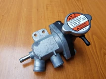 Suzuki GSX 650-F Termosztát kompletten